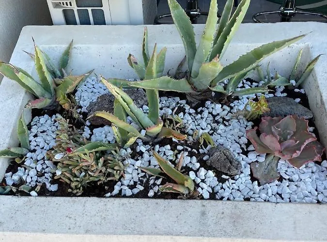 Sud Coursive Naturiste 아파트